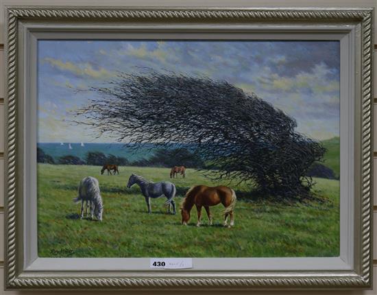 Roy Millar, oil on canvas, Natures Sculptor, signed, 40 x 55cm